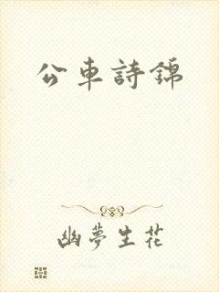 公车诗锦封面