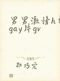 男男激情h视频gay片gv封面