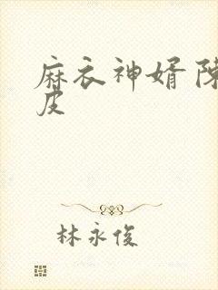 麻衣神婿 陈黄皮