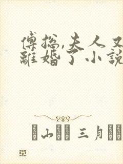 傅总,夫人又闹离婚了小说txt