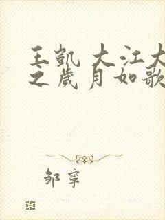 王凯 大江大河之岁月如歌