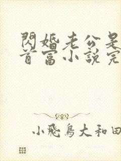 闪婚老公是千亿首富小说完整