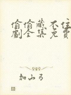 偷偷藏不住电视剧全集免费11