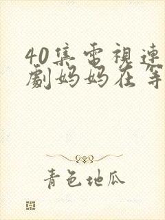 40集电视连续剧妈妈在等你