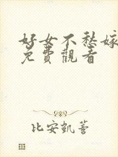 好女不愁嫁电影免费观看封面