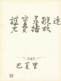 护宝寻踪连续剧免费播放