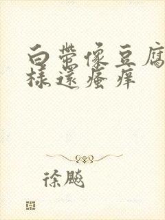 白带像豆腐渣一样还瘙痒封面