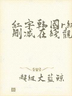 红字韩国r级未删减在线观看