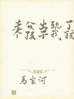 老公出轨了还有个孩子我该怎么办封面