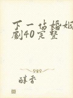 下一站婚姻电视剧40完整