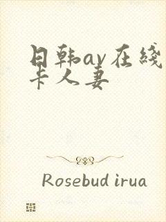 日韩av在线不卡人妻