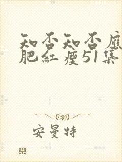 知否知否应是绿肥红瘦51集