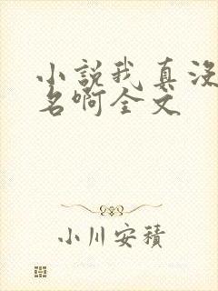 小说我真没想出名啊全文