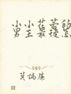 小小花蕾的绽放男主最后怎么了