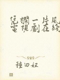 凭栏一片风云起电视剧在线播放