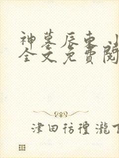 神墓辰东 小说全文免费阅读