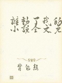 谁动了我的老婆小说全文免费阅读