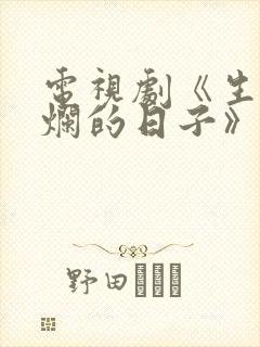 电视剧《生逢灿烂的日子》在线观看封面