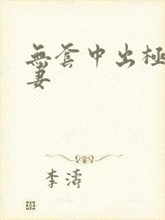 无套中出极品人妻封面