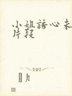 小姐诱心未删减片段封面