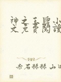 神之王牌小说全文免费阅读最新章节