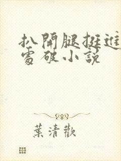 扒开腿挺进嫩苞处破小说