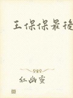 王保保最后结局封面