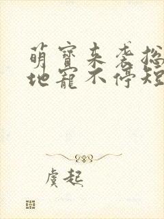 萌宝来袭总裁爹地宠不停短剧封面