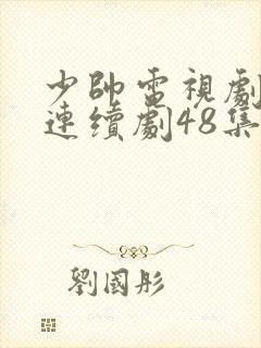 少帅电视剧免费连续剧48集