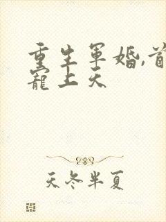 重生军婚,首长宠上天