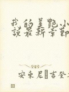 我的美艳小姑小说最新章节更新时间封面