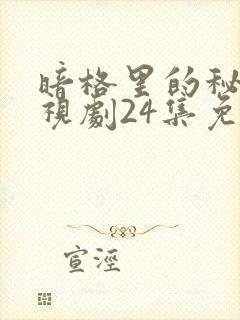 暗格里的秘密电视剧24集免费观看