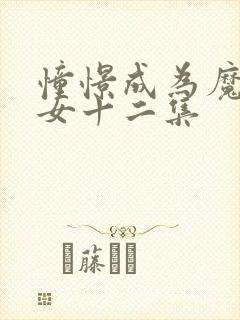 憧憬成为魔法少女十二集