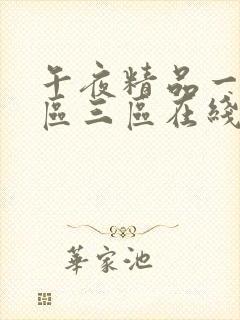 午夜精品一区二区三区在线观看