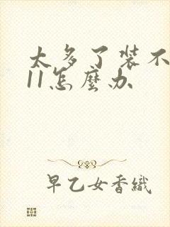 太多了装不下h11怎么办