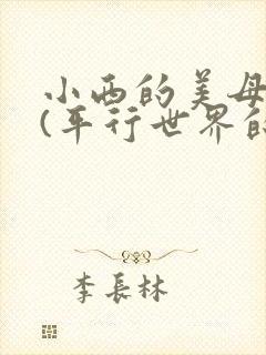 小西的美母教师(平行世界的番外)小说