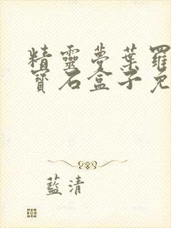 精灵梦叶罗丽之宝石盒子免费观看封面