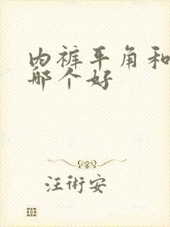 内裤平角和三角哪个好