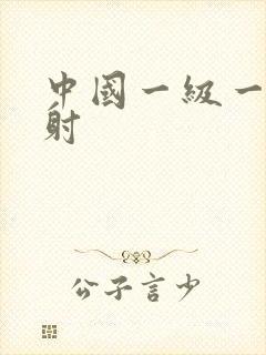 中国一级一片内射