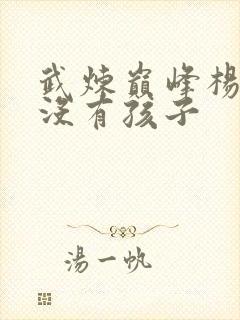 武炼巅峰杨开有没有孩子