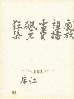 狂飙电视剧40集免费播放在线