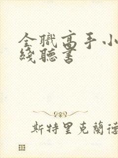 全职高手小说在线听书