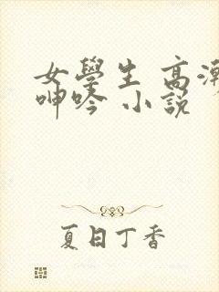 女学生 高潮 呻吟 小说