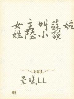 女主叫苏婉男主姓陆小说封面