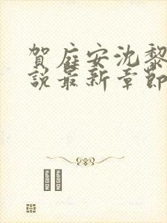 贺庭安沈黎初小说最新章节更新内容