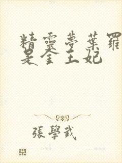 精灵梦叶罗丽谁是金王妃