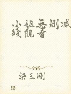 小姐无删减版在线观看