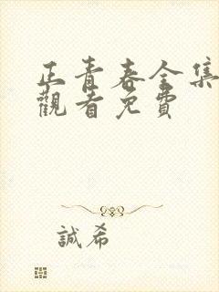 正青春全集在线观看免费