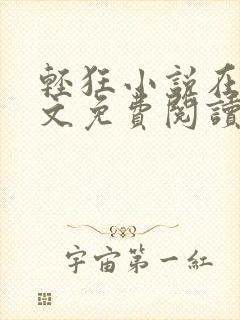 轻狂小说在线全文免费阅读