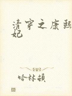 清穿之康熙太子妃